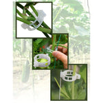 Grampo de Plantas Jardim Flor