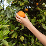 Adubo Fertilizante NPK 10-10-10