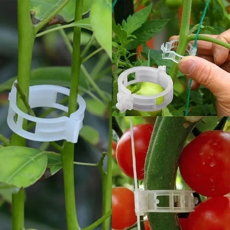 Grampo de Plantas Jardim Flor