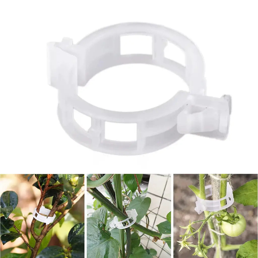 Grampo de Plantas Jardim Flor
