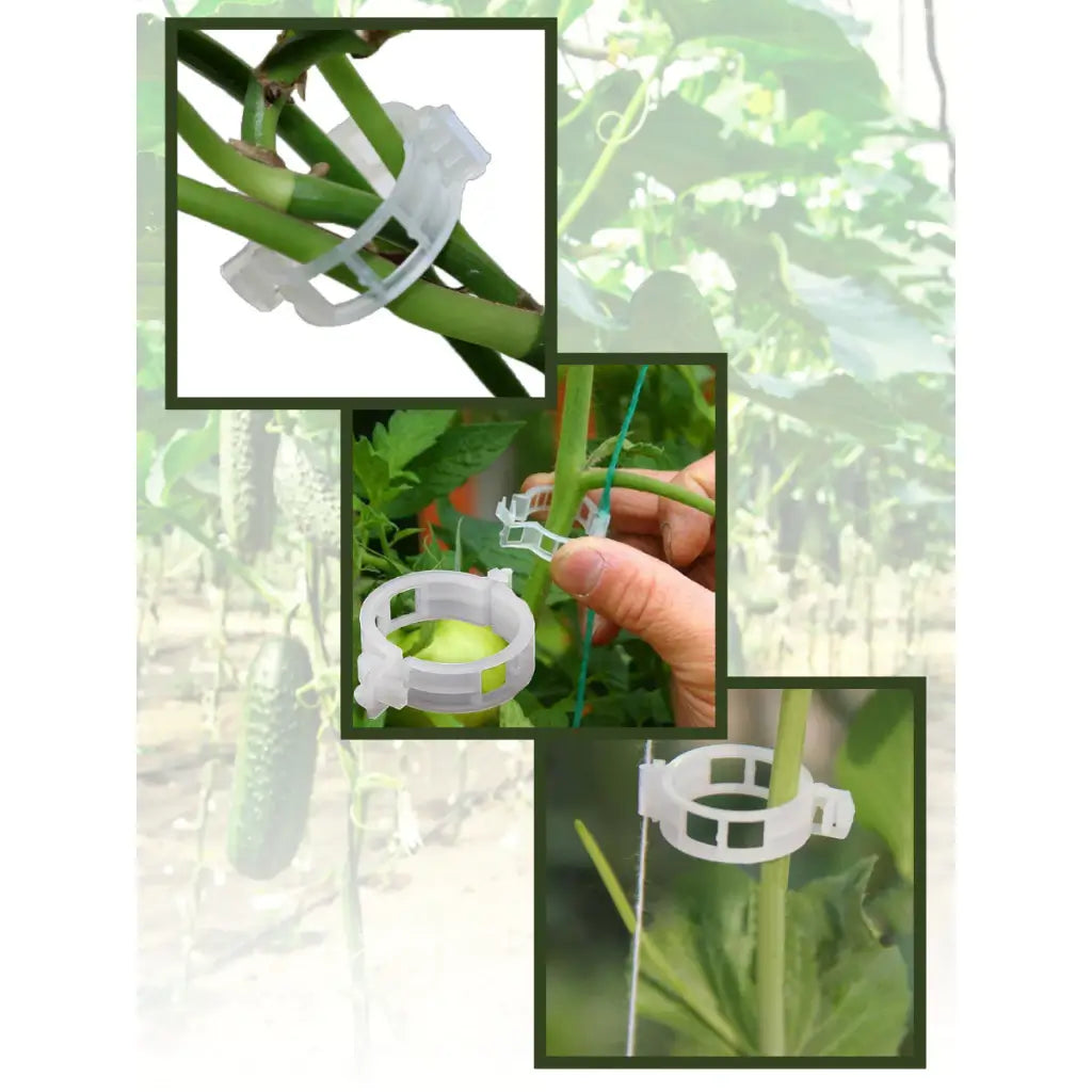 Grampo de Plantas Jardim Flor